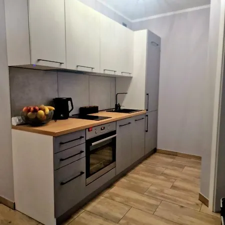 Apartman Z Basenem I Ogrodkiem Baltic Sun A17 Sztutowo